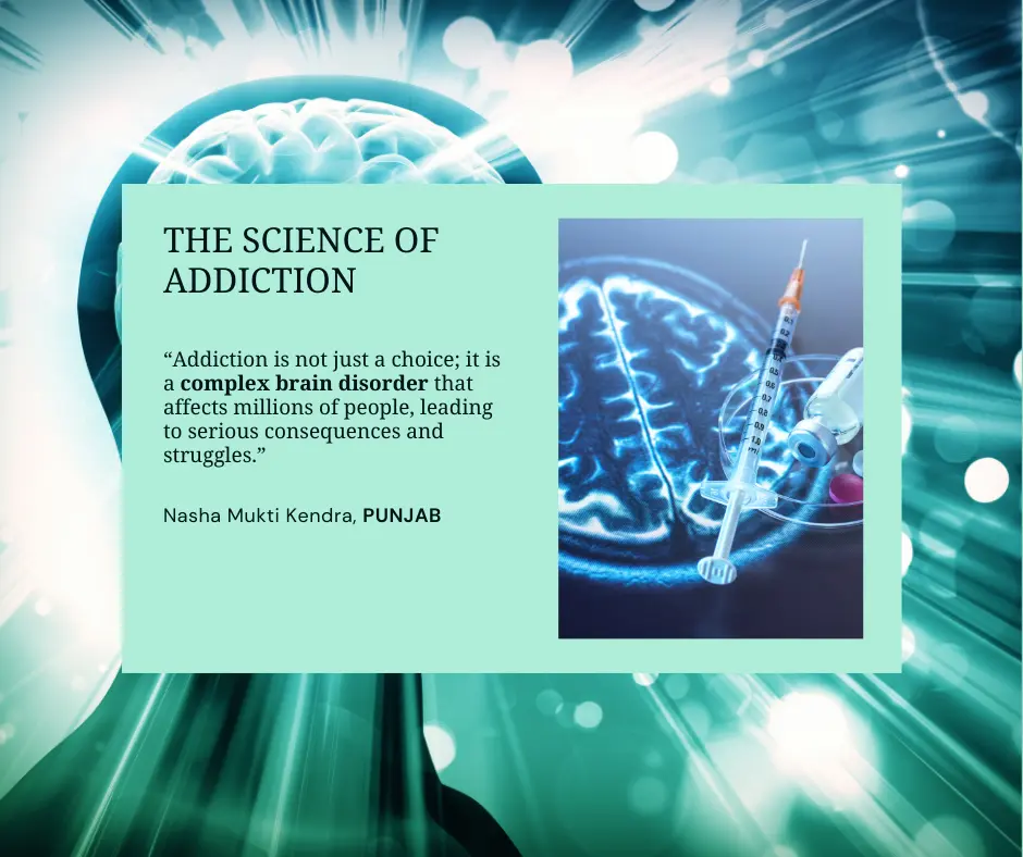 The Science of Addiction: How Drugs Hijack Your Brain